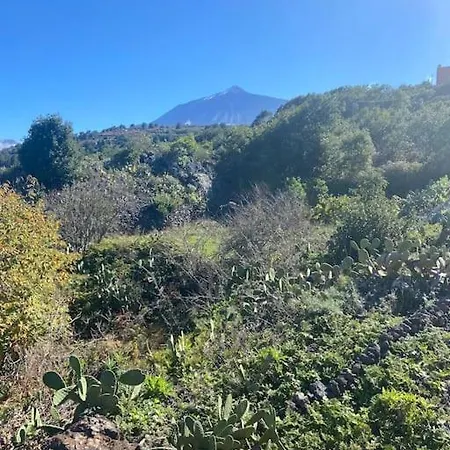 アパート Eco Vista Mar Y Teide イコー・デ・ロス・ビノス